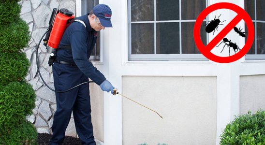 Payas Bit İlaçlama böcek ilaçlama ve haşere kontrolü — ilaclama-tr.com